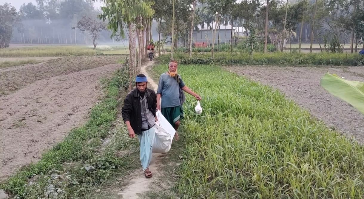 আদালতের নির্দেশে উত্তোলন করা হলো নিহত সবুজ মিয়ার লাশ