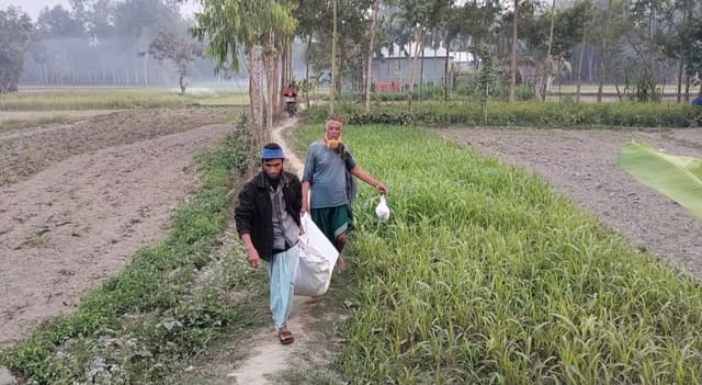 আদালতের নির্দেশে উত্তোলন করা হলো নিহত সবুজ মিয়ার লাশ