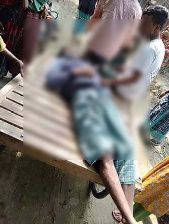 মাথায় গাছ পড়ে চলন্ত ভ্যান চালকের মৃত্যু