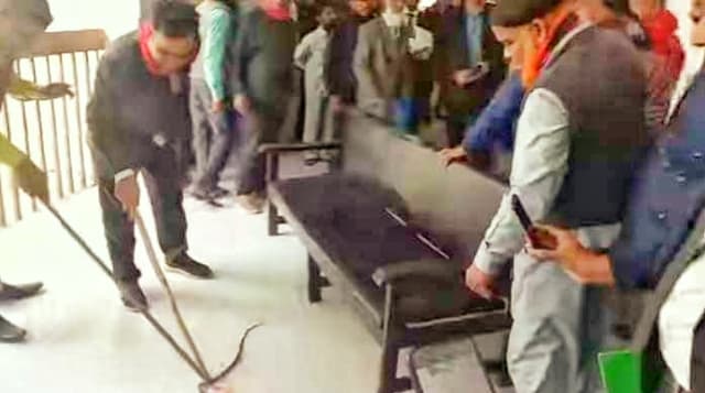 দোষ না করেও ঝালকাঠির আদালতে সাজা পেল সাপ