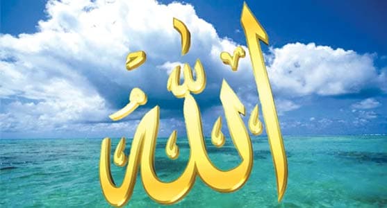 আল্লাহর সৃষ্টি ও ক্ষমতার নিদর্শন