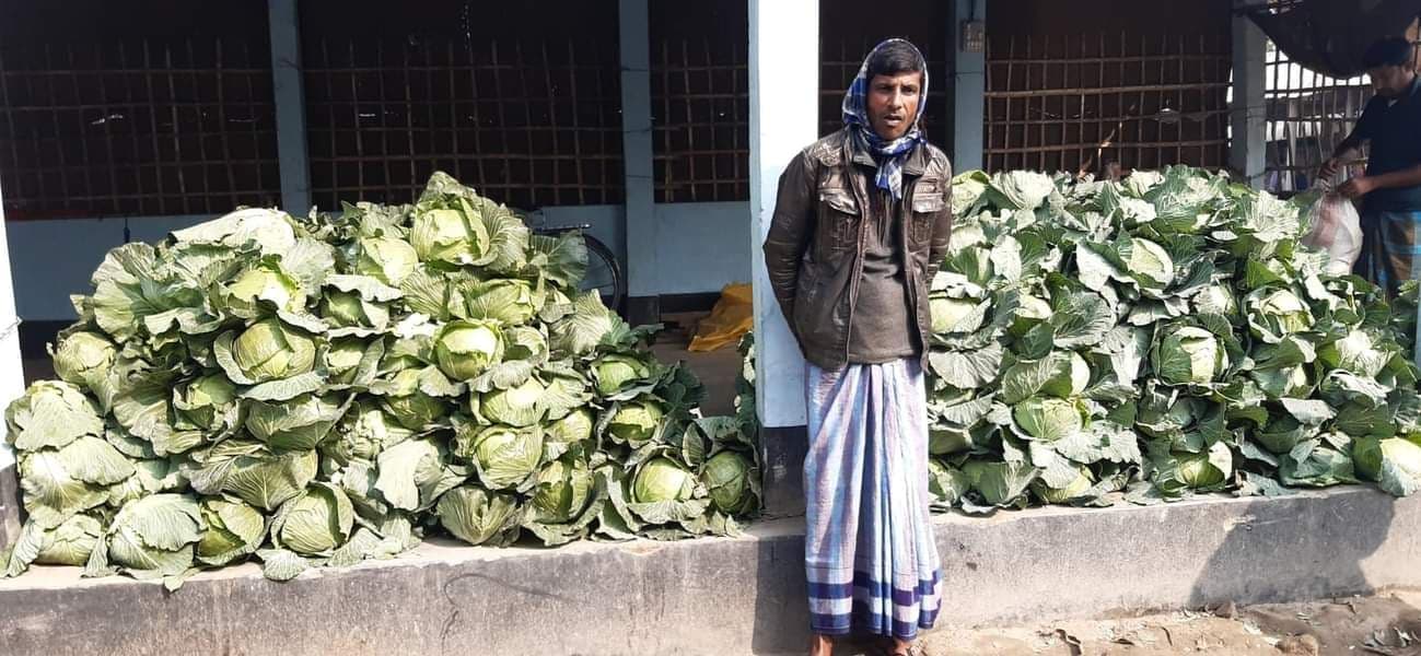 ভূরুঙ্গামারীতে শীতকালীন সবজিতে লোকসানের আশঙ্কায় কৃষক