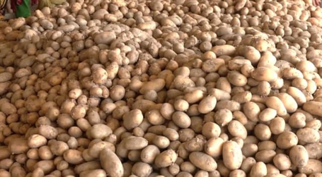 আসতে শুরু করেছে ভারতীয় আলু