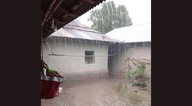 টানা বৃষ্টিতে দুশ্চিন্তায় হিলির আলু চাষিরা