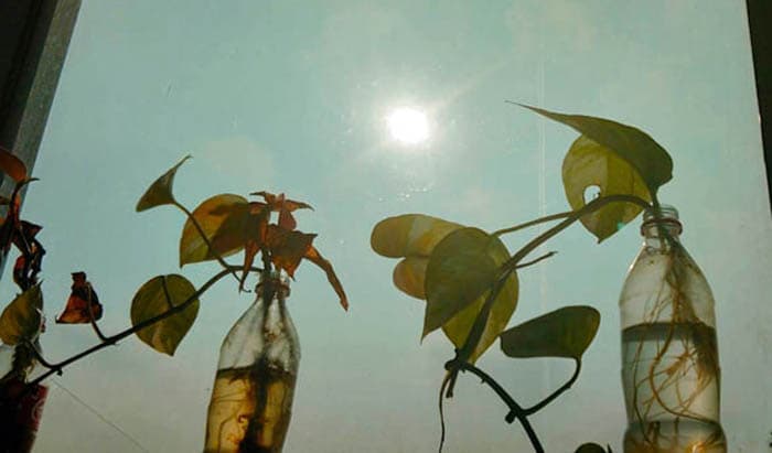 উঁকি মারছে সূর্য, তবুও বৃষ্টির শঙ্কা