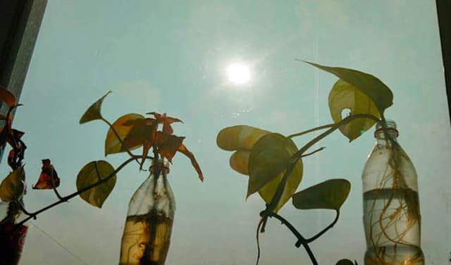 উঁকি মারছে সূর্য, তবুও বৃষ্টির শঙ্কা