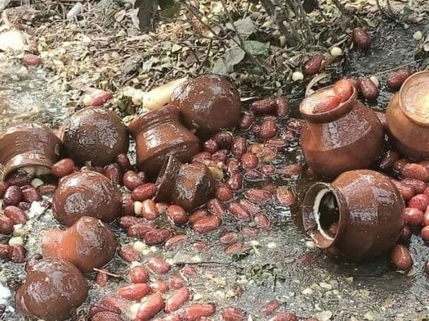ঝিনাইদহ ভ্রাম্যমাণ আদালত'র অভিযান ৩ লাখ ৭০ হাজার টাকা জরিমানা