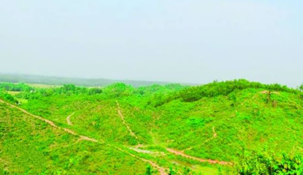 আবারও জীববৈচিত্র্য ফিরে পাচ্ছে গারো পাহাড়