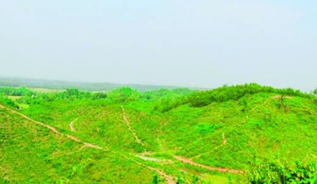 আবারও জীববৈচিত্র্য ফিরে পাচ্ছে গারো পাহাড়