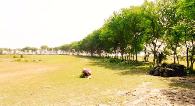 আইনি জটিলতায় আটকে আছে ঝালকাঠির ইকোপার্কের উন্নয়ন কাজ