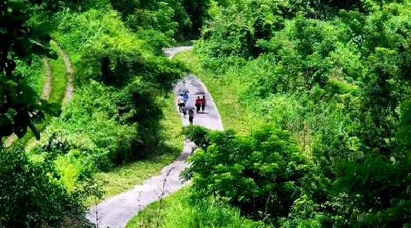 বান্দরবানে সন্ত্রাসী-র‌্যাব গোলাগুলি, ৫ জঙ্গি আটক