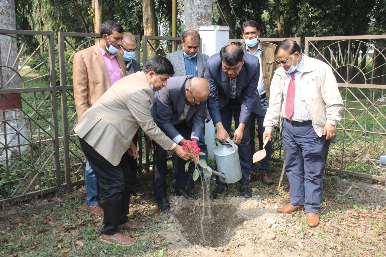 ইবির প্রধান ফটকের সামনে আবারও কৃষ্ণচূড়ার সৌন্দর্যে রঙিন হবে