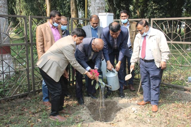 ইবির প্রধান ফটকের সামনে আবারও কৃষ্ণচূড়ার সৌন্দর্যে রঙিন হবে