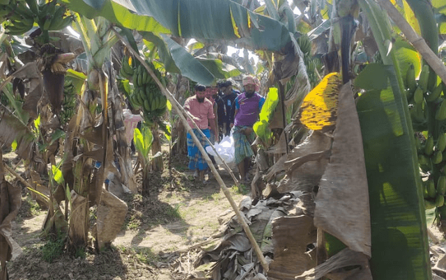 মুজিবনগরে মাঠ থেকে শ্রমিকের মরদেহ উদ্ধার