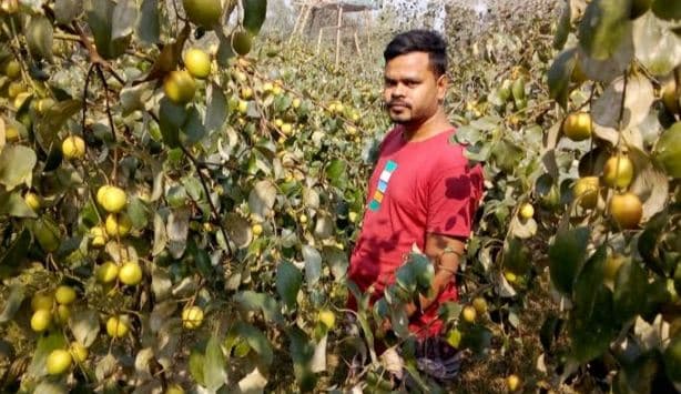 হিলিতে কাশ্মীরী আপেল কুল চাষে বিপ্লব ঘটিয়েছেন আব্দুর রাজ্জাক