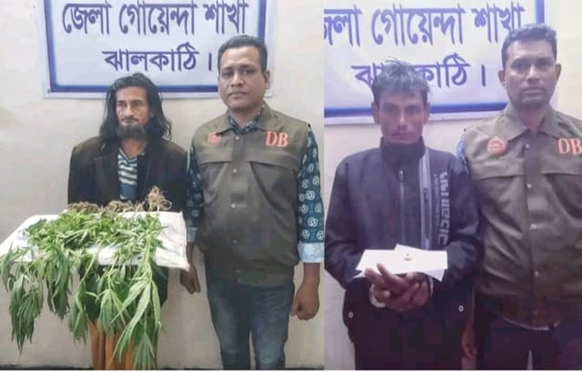 ঝালকাঠিতে ৮টি গাঁজাগাছ ও ইয়াবাসহ দুইজন আটক