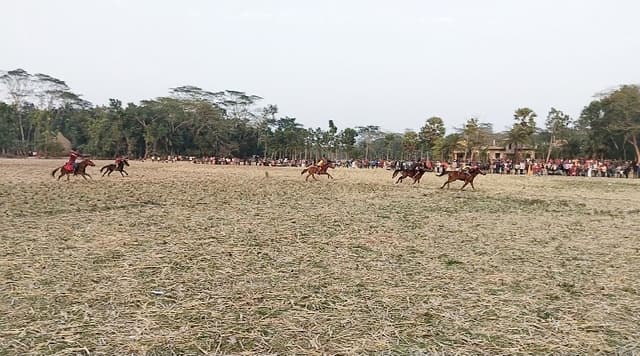 ঝালকাঠিতে ঘোড়দৌড় দেখতে হাজারো মানুষের ভিড়