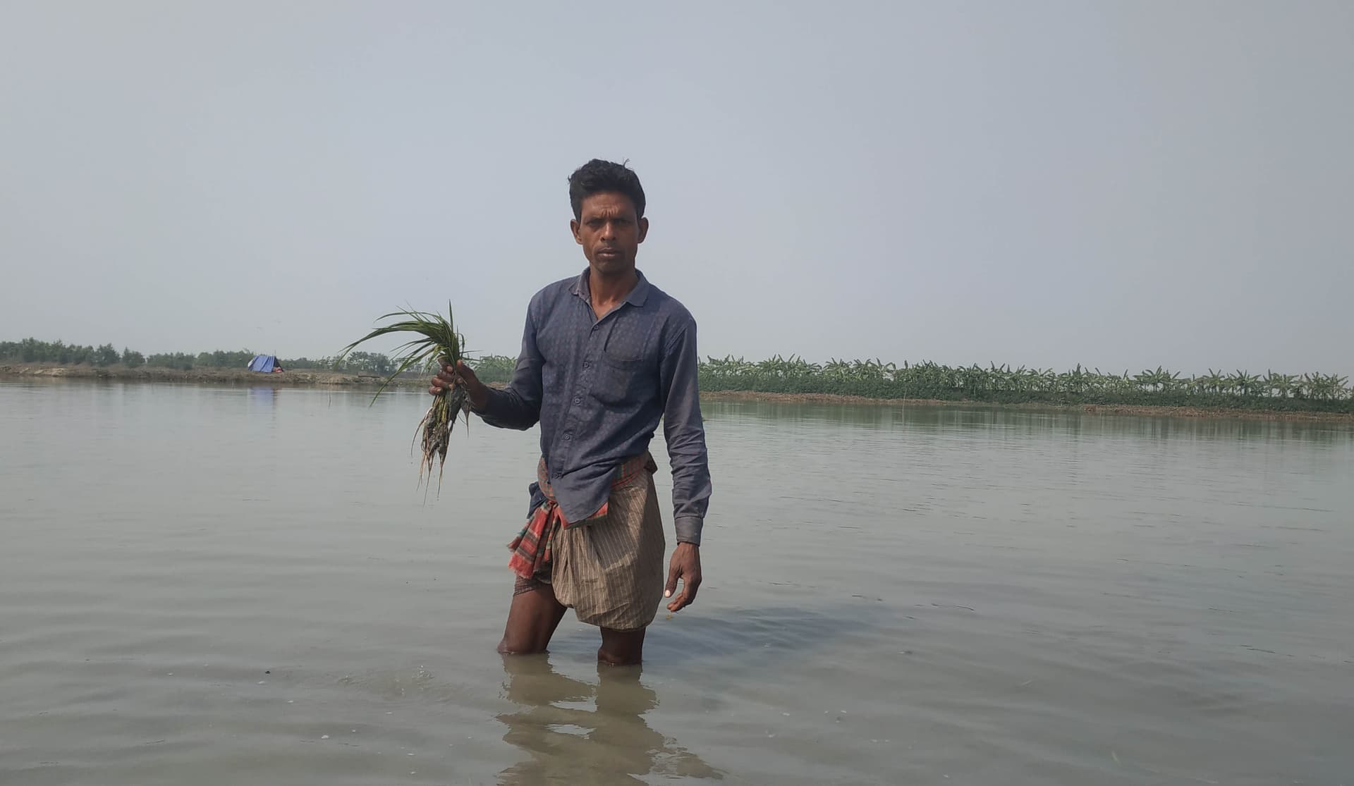 নওগাঁয় পানির নীচে তলিয়ে গেছে ৪০ গ্রামের কৃষকের স্বপ্ন