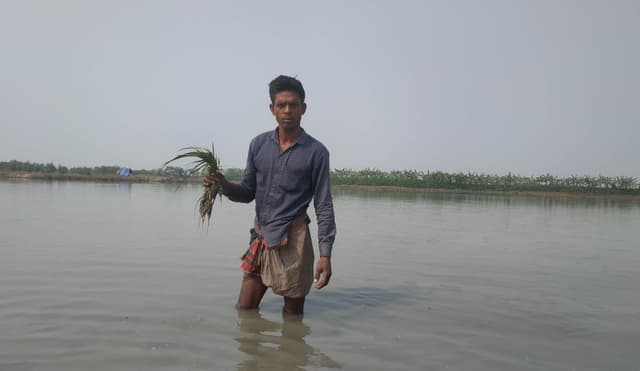 নওগাঁয় পানির নীচে তলিয়ে গেছে ৪০ গ্রামের কৃষকের স্বপ্ন