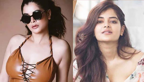 বাদামী রঙের ব্রালেটে মধুমিতা, ভক্তদের মনে ঝড় !