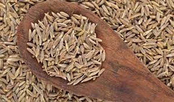 জিরার আমদানি বৃদ্ধি, কেজিতে দাম কমেছে ৪০০ টাকা