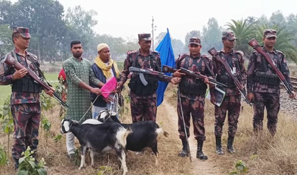 পতাকা বৈঠকে ভারত থেকে ফিরে এলো দেশী তিন ছাগল