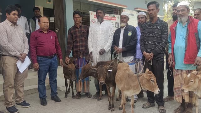 কলাপাড়ায় জেলেদের মাঝে প্রনোদনার গরু বিতরণ