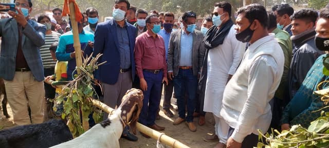 হিলিতে দিনব্যাপী প্রাণিসম্পদ প্রদর্শনীর উদ্বোধন