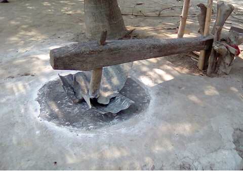 পাঁচবিবিতে বিলুপ্তির পথে ঐতিহ্যবাহী ঢেঁকি