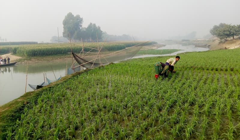 নয়নাভিরাম সবুজ প্রকৃতিতে ঘেরা আত্রাই নদীর দু’তীর
