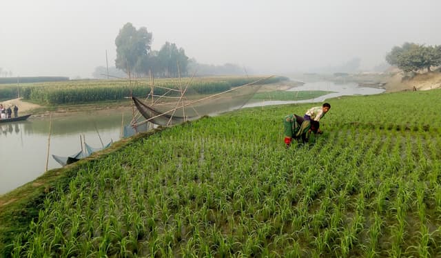 নয়নাভিরাম সবুজ প্রকৃতিতে ঘেরা আত্রাই নদীর দু’তীর