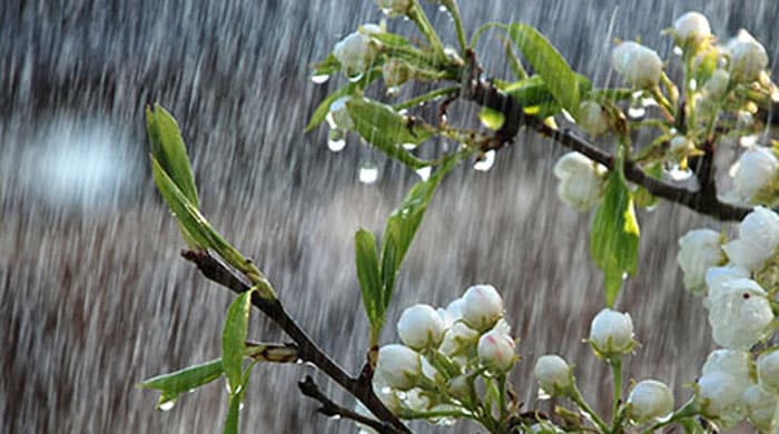 বৃষ্টির পূর্বাভাস দিল আবহাওয়া অফিস