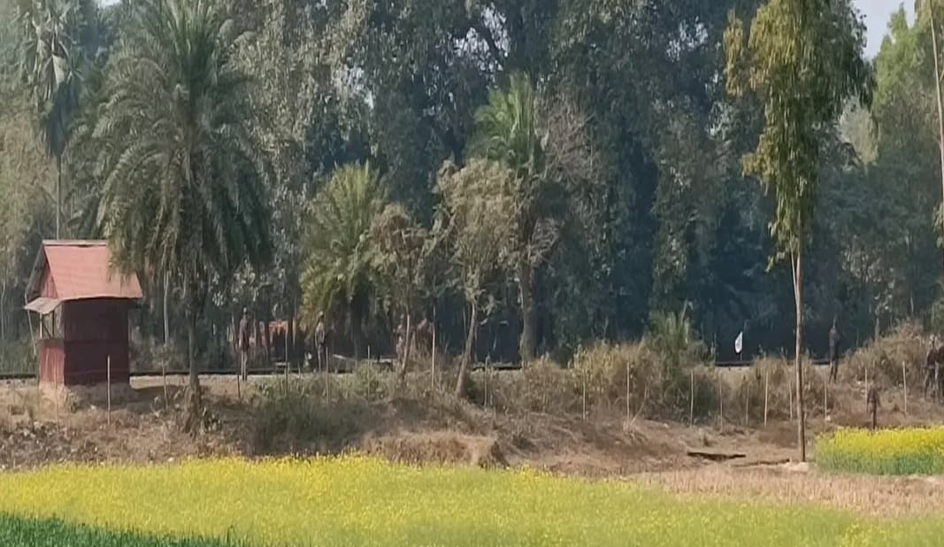 হিলি সীমান্তে বিএসএফের গুলিতে বাংলাদেশী যুবক নিহত