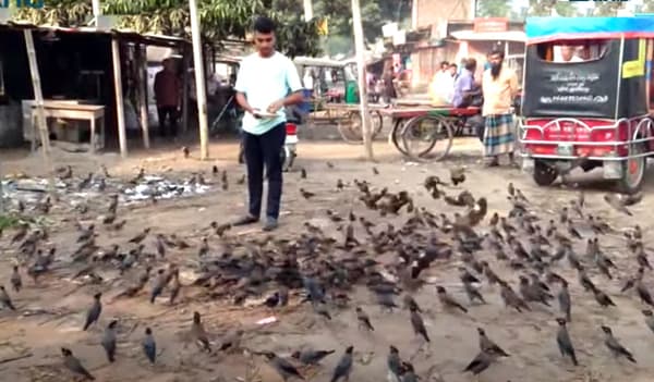 হাজারো গাঙ শালিকের ভালোবাসায় সিক্ত হোটেল মালিক জয়ন্ত ঘোষ