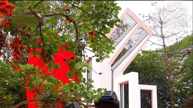 সাত দশকে কেমন আছে ভাষা