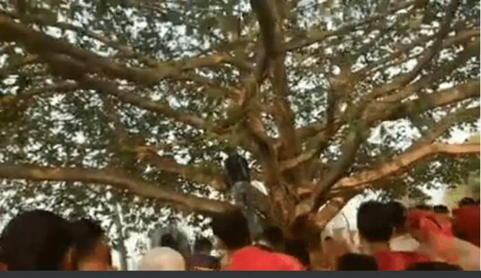 সরাইলে যুবকের ঝুলন্ত লাশ উদ্ধার