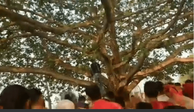 সরাইলে যুবকের ঝুলন্ত লাশ উদ্ধার