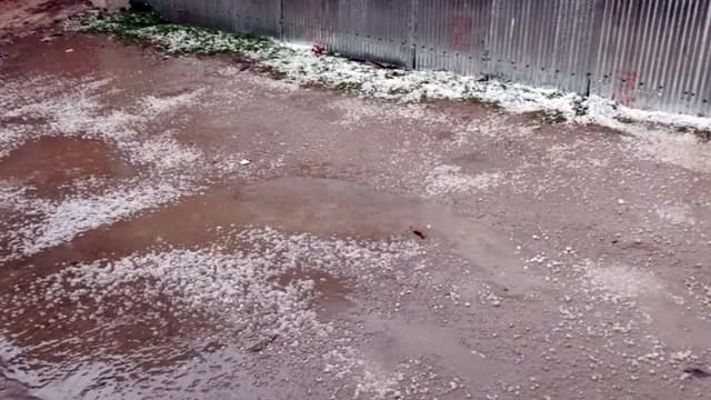 লালমনিরহাটে হঠাৎ শিলাবৃষ্টিতে ফসলের ব্যাপক ক্ষতি