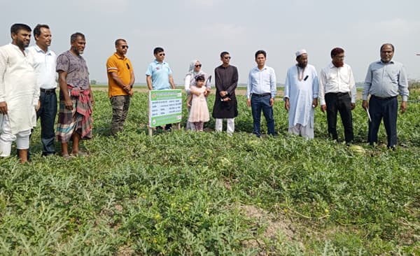 মির্জাগঞ্জে তরমুজ ক্ষেত পরিদর্শনে ইউএনও