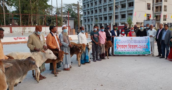 কাউখালীতে জেলেদের মাঝে গাভী বিতরণ