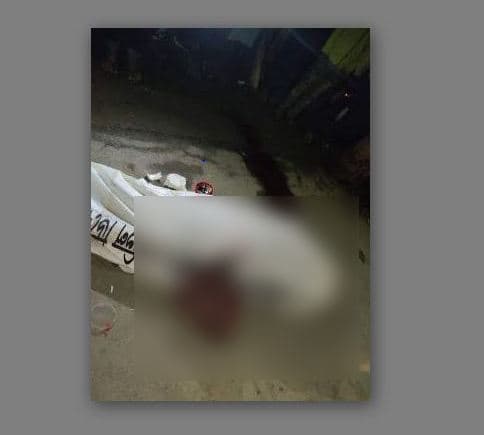 ট্রাকের ধাক্কায় নববধূর মৃত্যু, স্বামী হাসপাতালে
