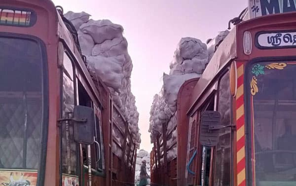 প্রথমবারের মতো ভারতীয় নারিকেল আমদানি