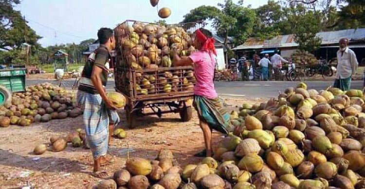 প্রথমবারের মতো ভারত থেকে এলো ৫০ টন নারকেল