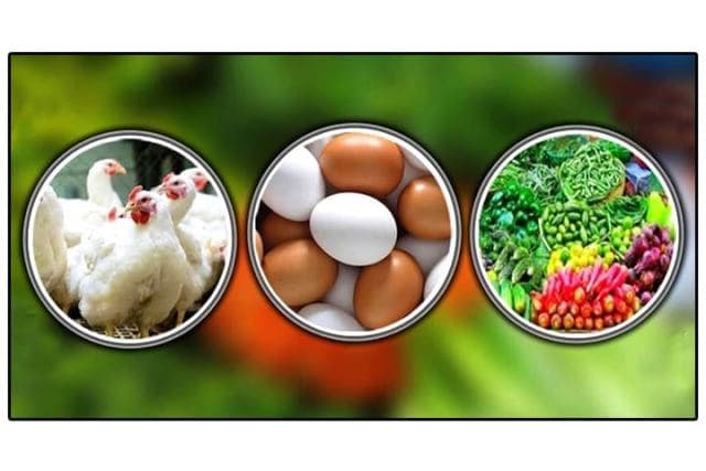 সপ্তাহের ব্যবধানে বেড়েছে যেসব পণ্যের দাম