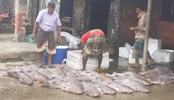 একবার জাল ফেলেই মিলল ৫ লাখ টাকার মাছ