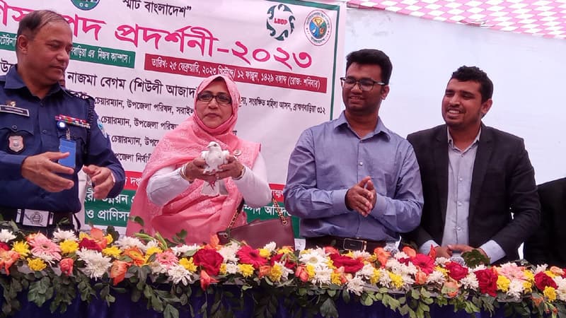 বর্তমানে জনগণ স্বস্তি ও শান্তিতে আছে - এমপি শিউলি আজাদ