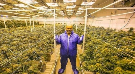 গাঁজা বিক্রি করে মাসে ৪ কোটি টাকা আয়!