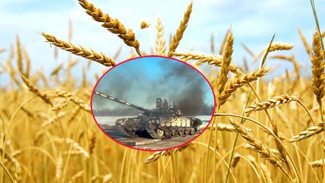 ইউক্রেন পরিস্থিতি: বাড়তে পারে যেসব পণ্যের দাম