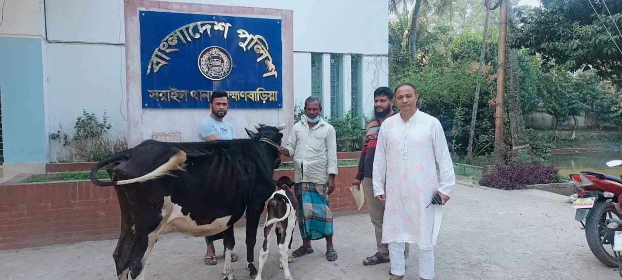 পুলিশের সহায়তায় মালিকের গোয়ালে ফিরল গরু