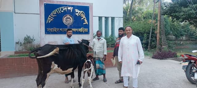 পুলিশের সহায়তায় মালিকের গোয়ালে ফিরল গরু